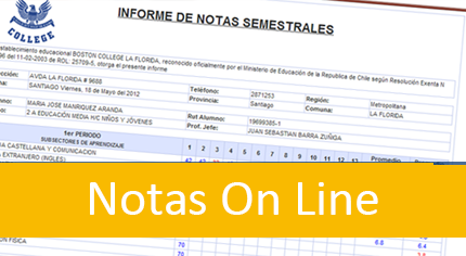 Notas Online