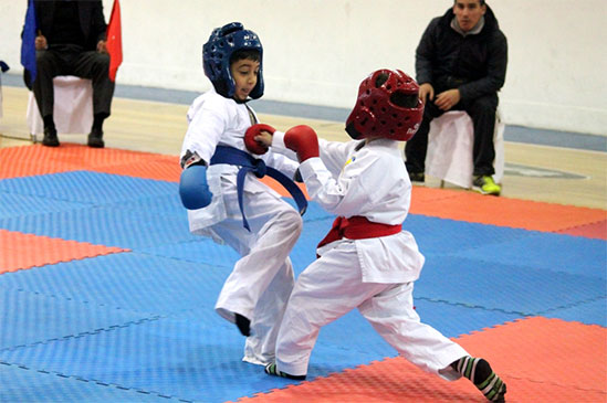 Copa Boston College de Karate