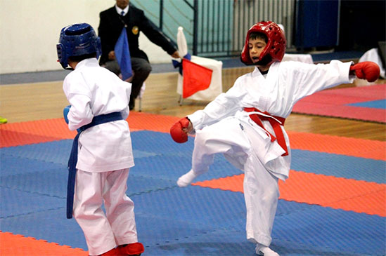 Copa Boston College de Karate