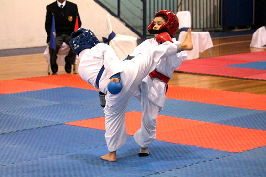 Copa Boston College de Karate