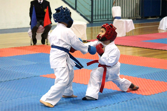 Copa Boston College de Karate