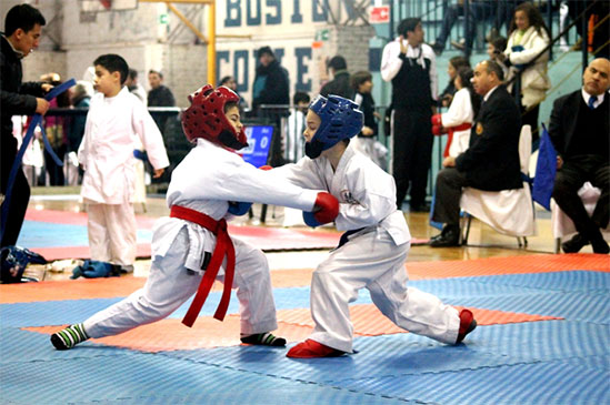 Copa Boston College de Karate