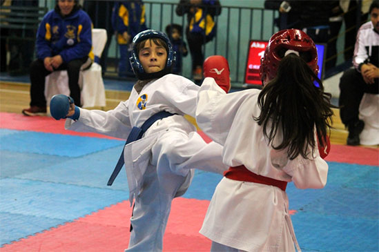 Copa Boston College de Karate