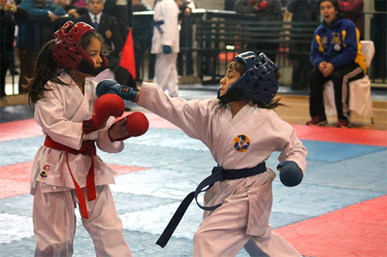 Copa Boston College de Karate