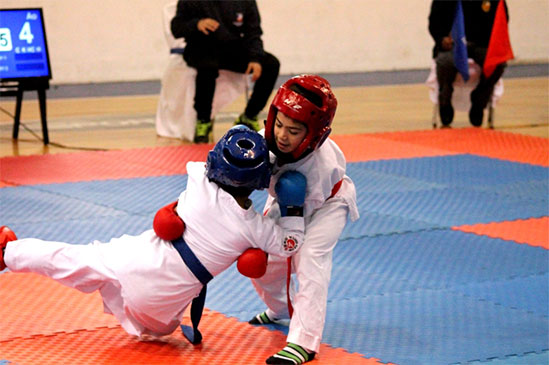 Copa Boston College de Karate