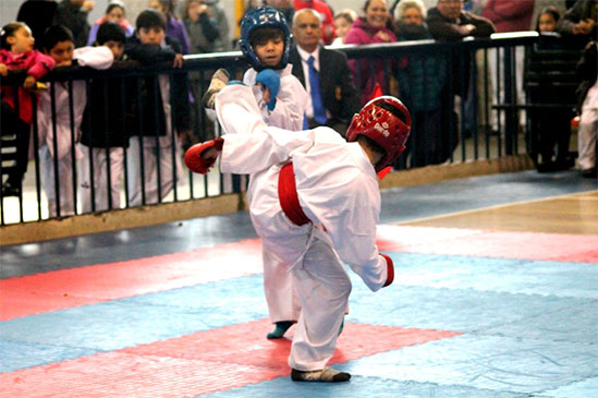 Copa Boston College de Karate