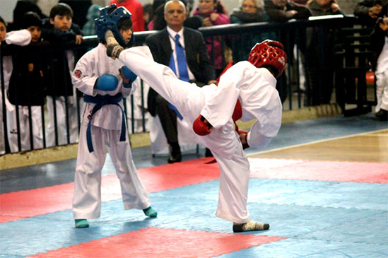 Copa Boston College de Karate