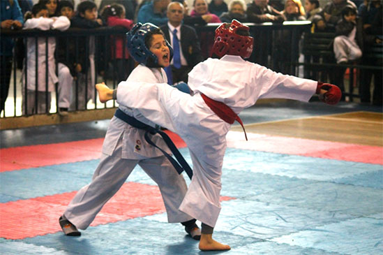 Copa Boston College de Karate
