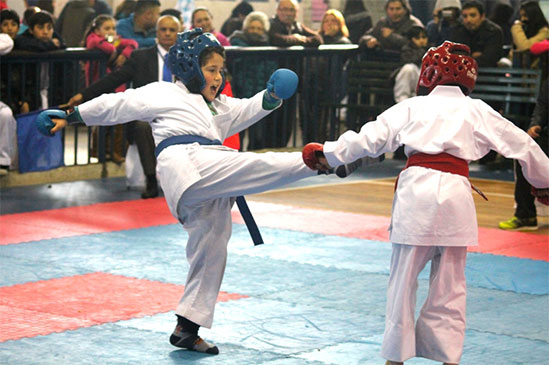 Copa Boston College de Karate