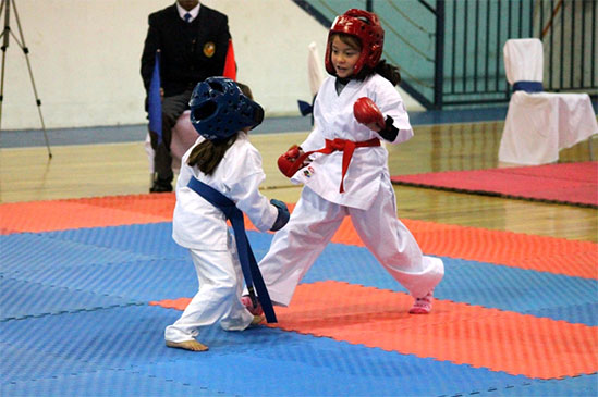 Copa Boston College de Karate