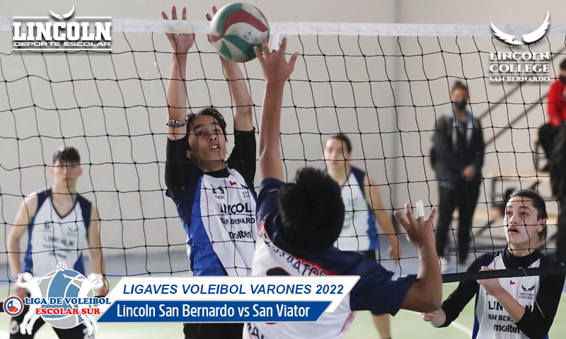 VOLEIBOL VARONES LCSB