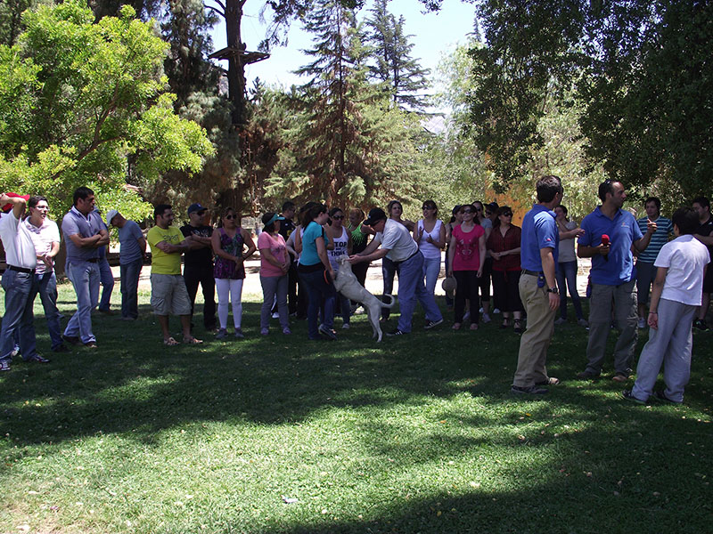 Actividad Pié Andino 