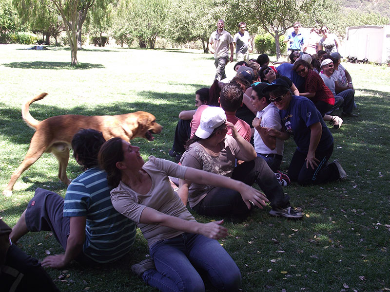 Actividad Pié Andino 