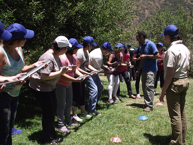 Actividad Pié Andino 