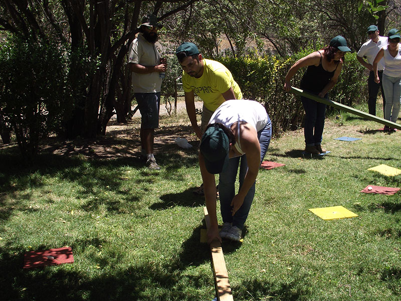 Actividad Pié Andino 