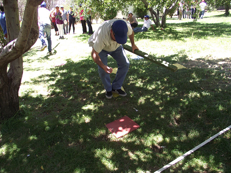 Actividad Pié Andino 