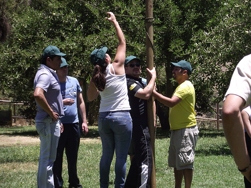 Actividad Pié Andino 