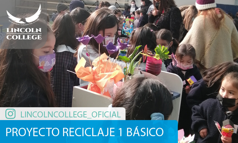 Proyecto reciclaje 1 Básico