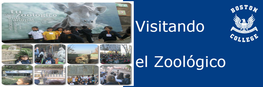 Actividad Educativa: Salida Pedagógica “Zoológico Nacional”