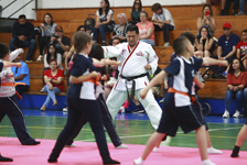 Academias Taekwondo 
