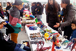 Feria del Libro y Las Pulgas