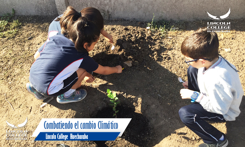 LCH Combatiendo el cambio clímatico