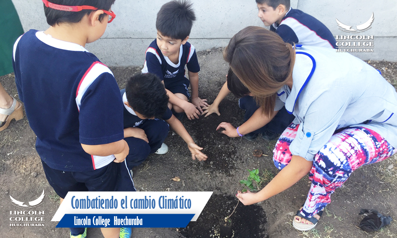 LCH Combatiendo el cambio clímatico