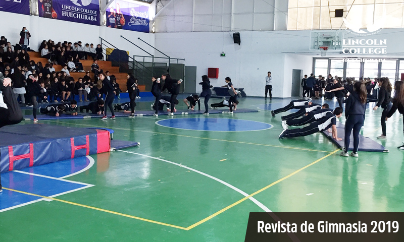 Revista de Gimnasia