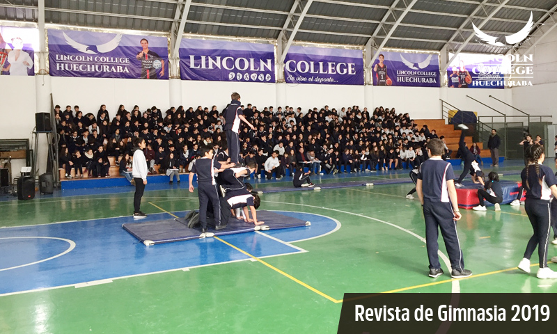 Revista de Gimnasia