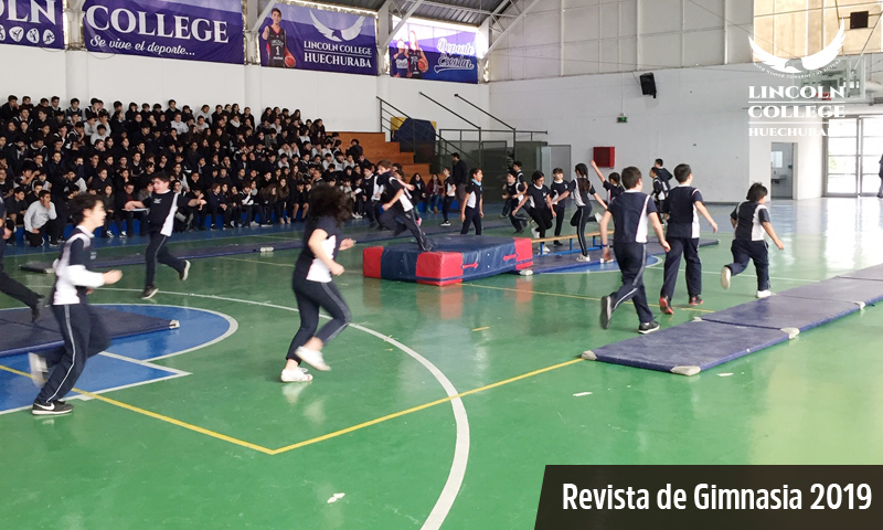 Revista de Gimnasia