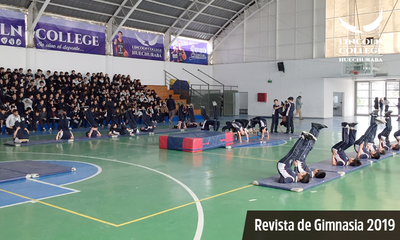 Revista de Gimnasia