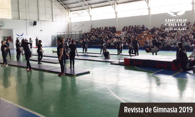 Revista de Gimnasia