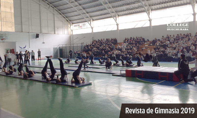 Revista de Gimnasia